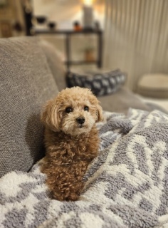 �����b�ɂȂ�܂���