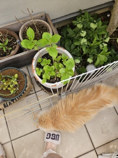 ��x�Q�����