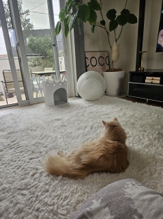 ������s���N