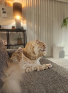 ��E�E�̂ǐ^��