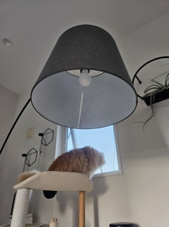 �������߂�