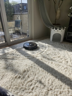 Roomba�N