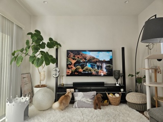 �ǁ[���A�e�f�B����񗈂�����