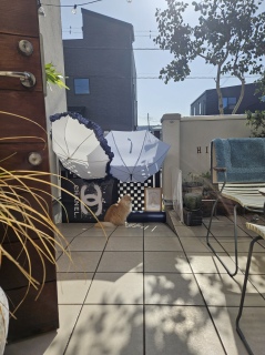 ������΁A��ǔL��]����