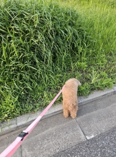 ��X������