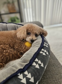 ��������A�܂�����