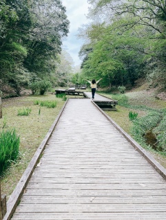 ���t���b�V��Day