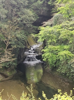 ����͂���