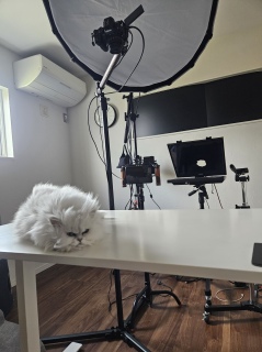 �G���}�����