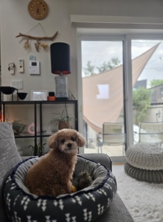 ���Q���N�������R