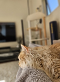 �����A����Ȏ���