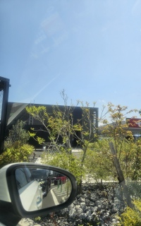 ���y�Y�̓X�^�o���N�G�X�g