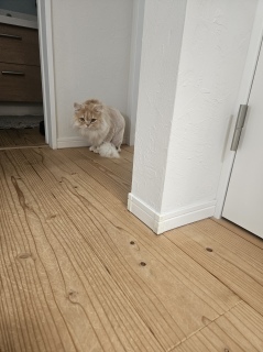 �N���Ă���