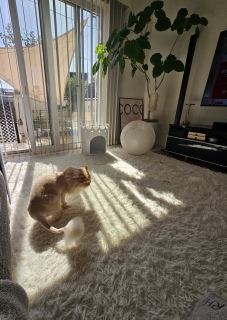 ������ɂ��