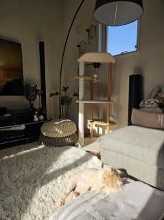 �����̃s���N