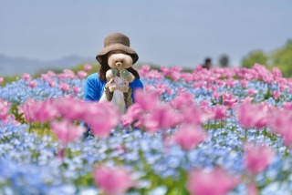 �}�U�[�q��