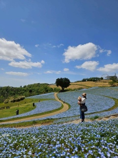 �l���q�B���́A�܂�