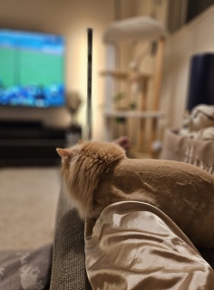 �}�}�ɐG��Ă������l