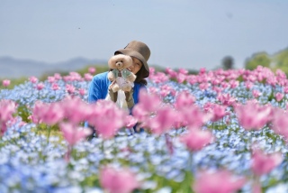 ����̃}�U�[�q��