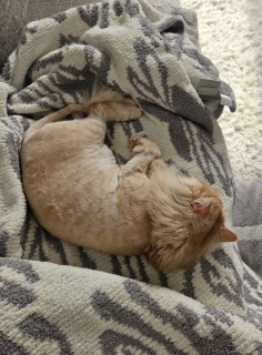 �S���S��