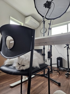 �G���}������