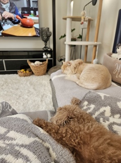 �܂�����