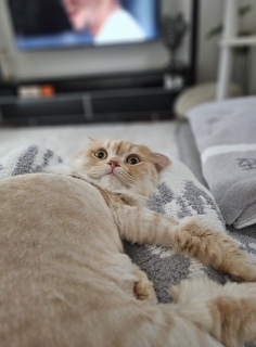 �Â���V����