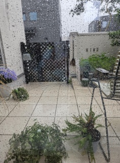 �y���~��