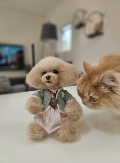 �P����̂���������