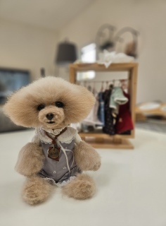 �����́A������