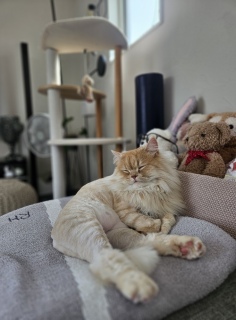 ����� �}�}