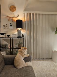 �^�C�~���O����������