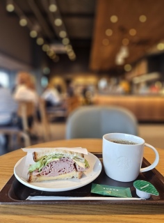 ����҂�����e�@�܂�