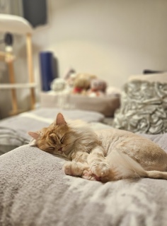 �Q��݂Ă��