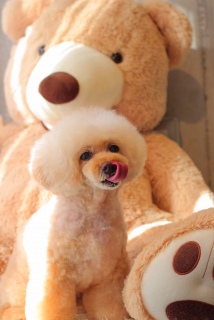 �P����