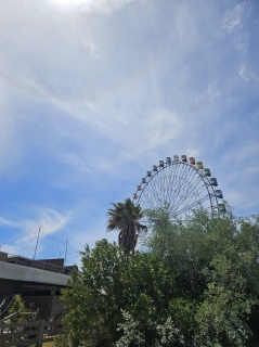 �C���������ˁ[