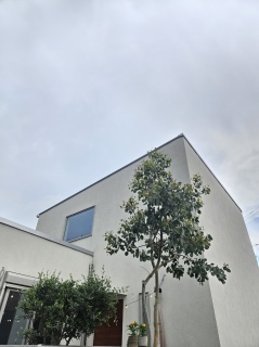 �A���̂�����ꂵ��