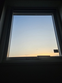 �������悭�撣������
