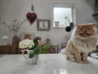 �l��