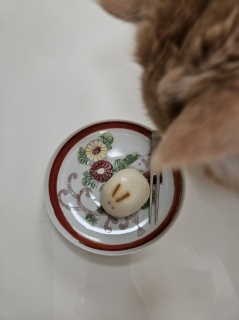 �������ѐH�ׂ�