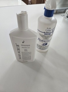 �p�X�g���[�[�ƃT�j�N���[��