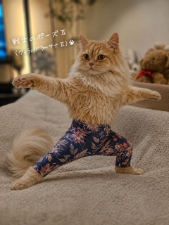 ����̃`���b�s�[