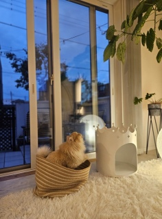 ����ƋN���Ă����l