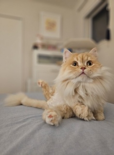 �C������