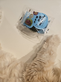 �����̂����