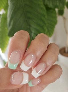 �l�C����