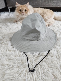 �h���̃L���b�v