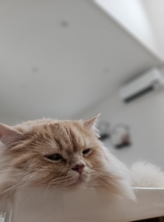 �������J