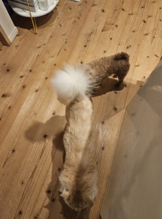 ���[�܂�