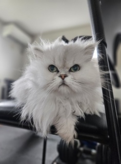 �G���}�l��